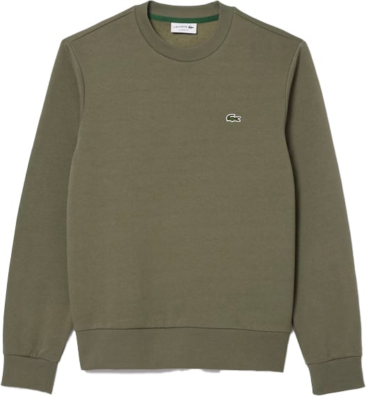 Ralph Lauren Sweater uni Groen