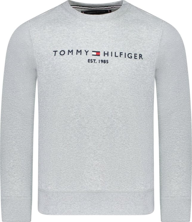 Tommy Hilfiger Sweater Grijs Grijs