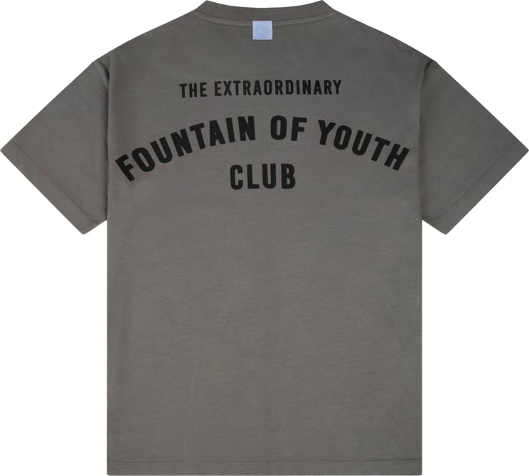 Fountain of Youth Fountain Of Youth Essential T-Shirt Wesley Grijs