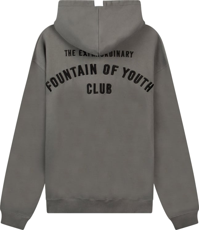 Fountain of Youth Fountain Of Youth Essential Hoodie Jesse Grijs