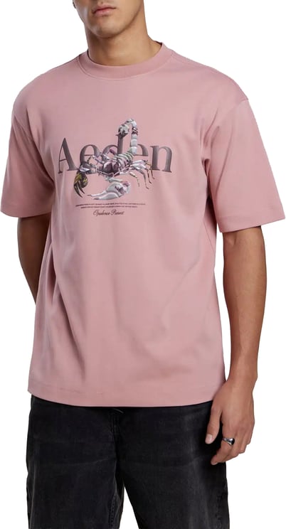 Aeden Maxton Tee Ash Rose