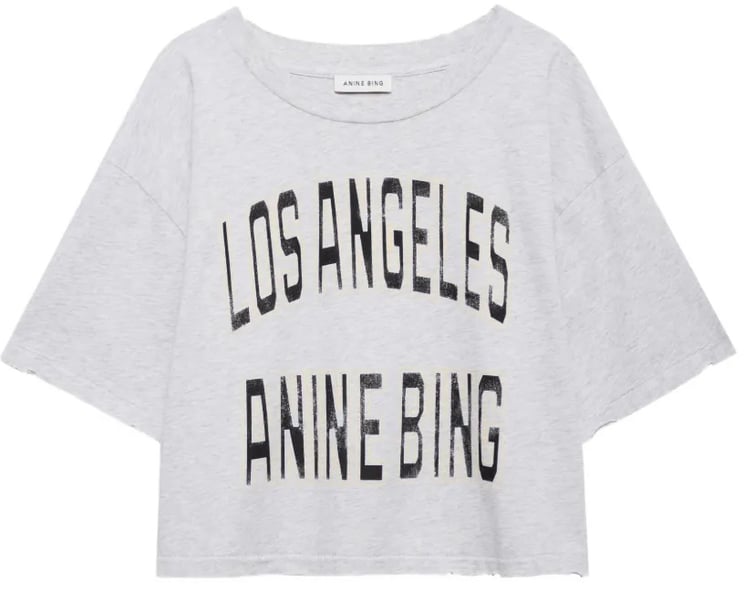 Anine Bing t-shirt grijs