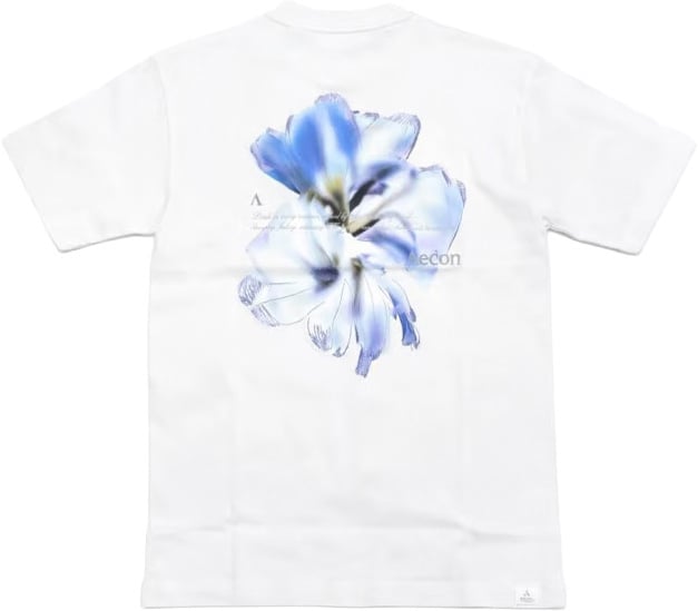 Aeden Fame Tee Off White