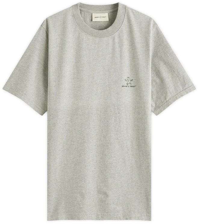 Bram's Fruit t-shirt grey