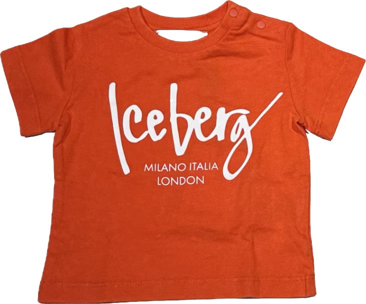 Iceberg t-shirt zucca