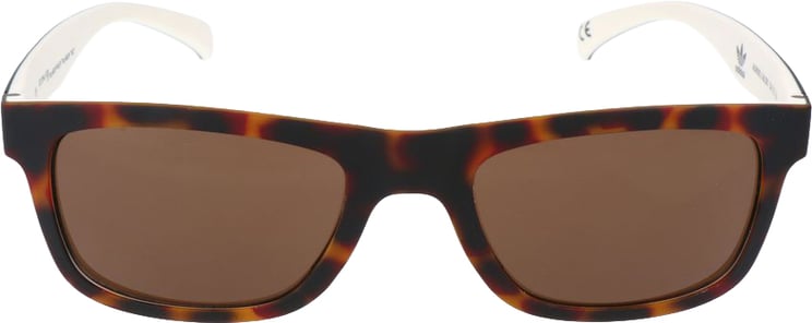 Adidas Adidas Bicolor Acetate Sunglasses