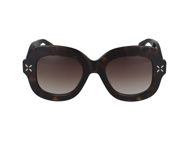 Alaïa Sunglasses Azzedine Alaia AA0054S 003 havana havana brown 50/22/140