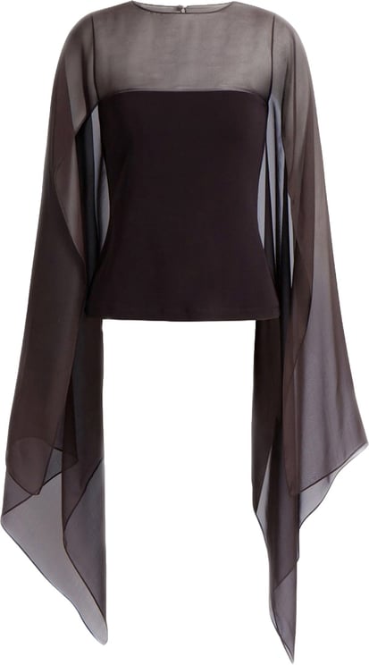 Alberta Ferretti Shirts Brown