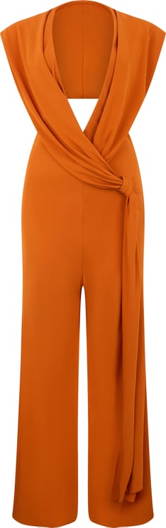 Alberta Ferretti Jumpsuit with neckline