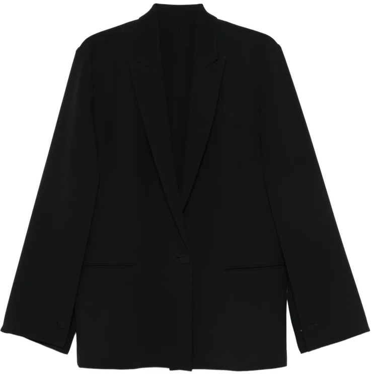 Alberta Ferretti Structured Tailored Jacket with Minimalist Design