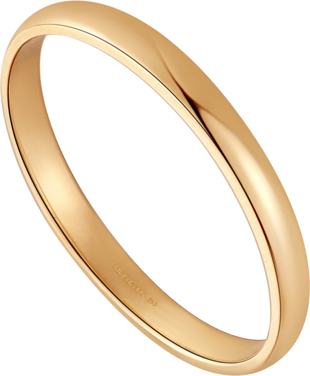 Ania Haie Ania Haie Stargazer - Ring - Goud