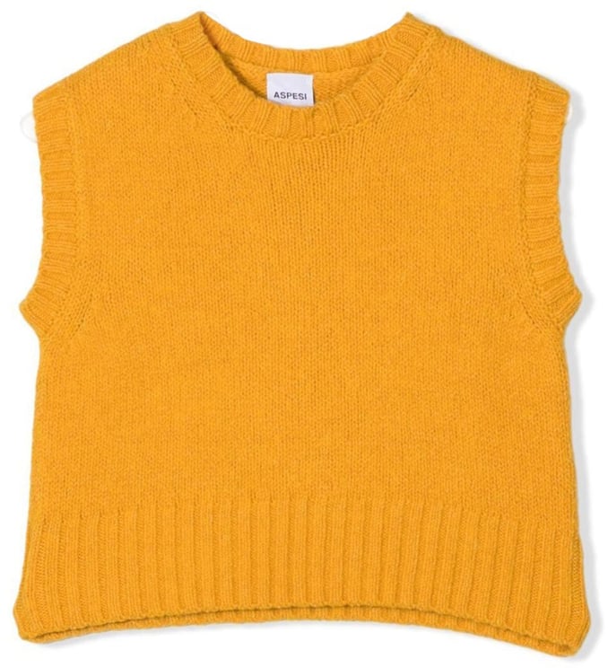 Aspesi TRICOT VEST.