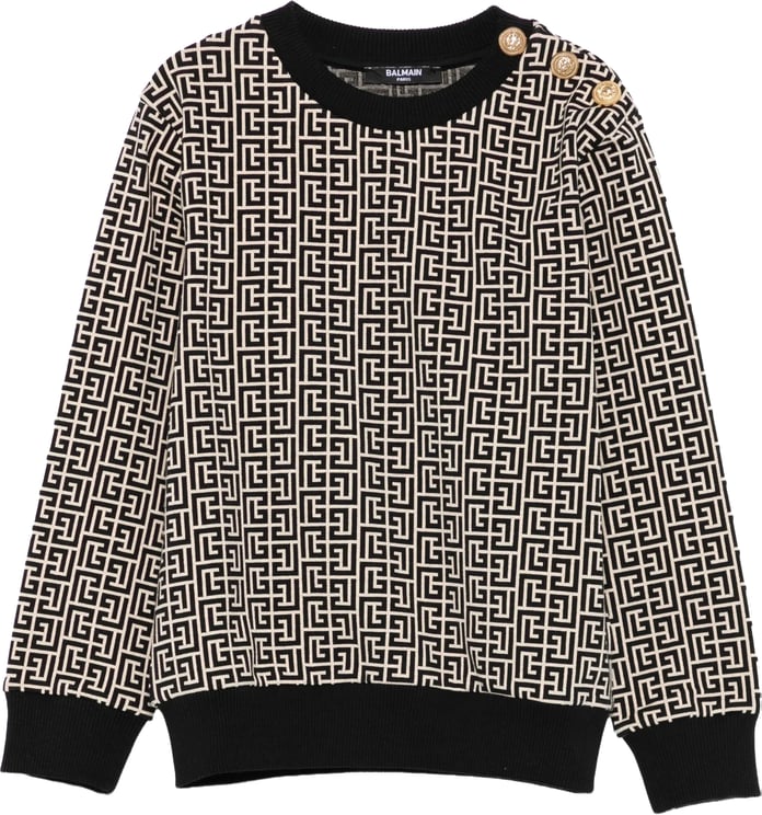 Balmain sweatshirt divers