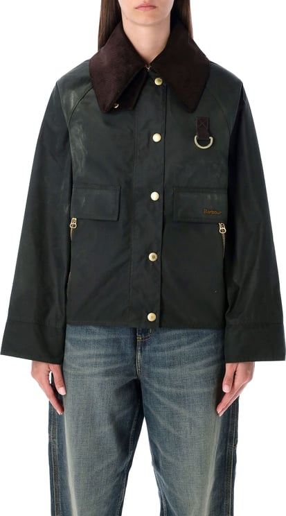Barbour Catton Sage