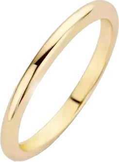 Blush Blush Ring 1117YGO/54 14k Geelgoud Glad Maat 54