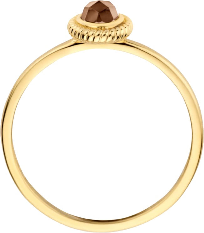 Blush Blush Ring 1239YBQ/54 14k Geelgoud met Quartz Maat 54