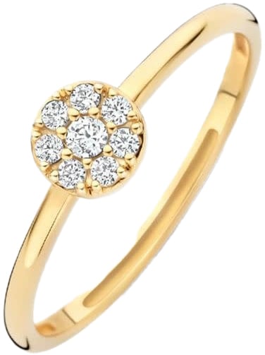 Blush Blush Ring 1277YZI/56 14k Geelgoud met Meerdere Zirkonia's Maat 56