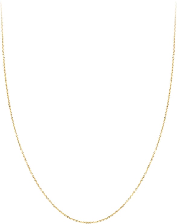 Blush 3046YGO/45 Collier 14 krt geelgoud 45 CM