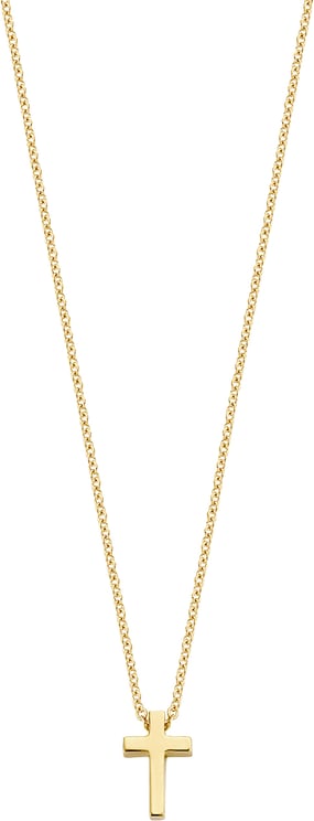 Blush Blush Collier met Hanger 3091YGO 14k Geelgoud Kruis Ketting 42cm
