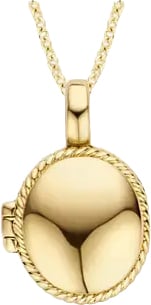 Blush Blush Medallion Hanger 6087YGO 14k Geelgoud Ovaal