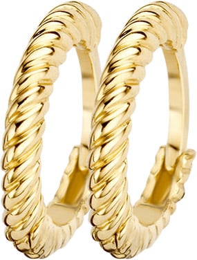 Blush 7231YGO Oorbellen creolen 14 krt Goud