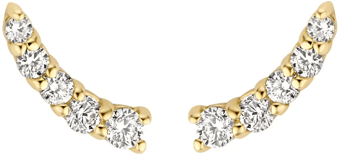 Blush Blush Oorbellen 7319YZI 14k Geelgoud met Zirkonia