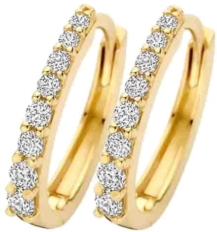 Blush Blush Oorbellen 7341YZI Ovaal 14k Geelgoud met Zirkonia 1.9mm x 13.7mm