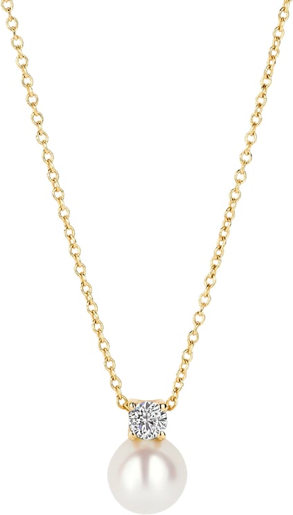 Blush Blush - Ketting - Goud
