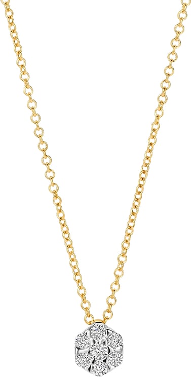 Blush Blush - Ketting - Goud