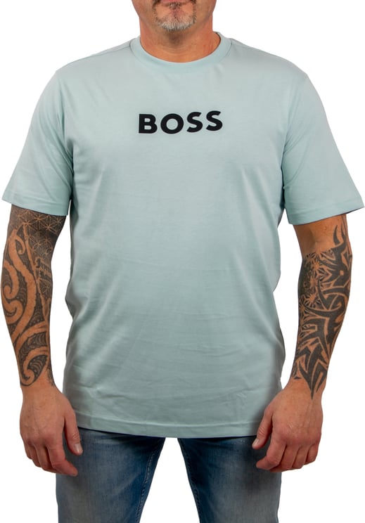Boss BOSS TS_Logo