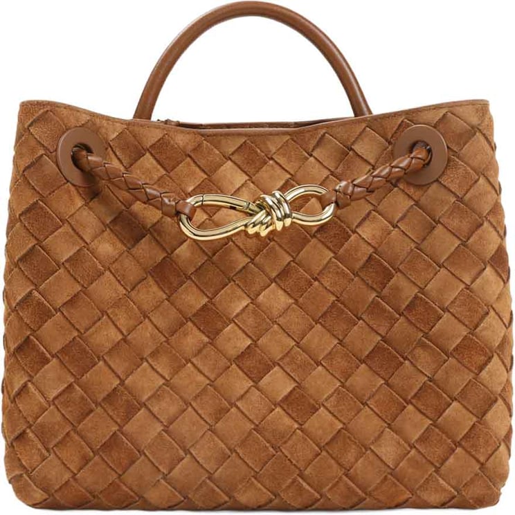 Bottega Veneta Bottega Veneta Small Andiamo Bag