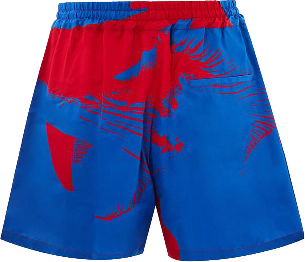 Bottega Veneta Bottega Veneta Multicolor Viscose Shorts