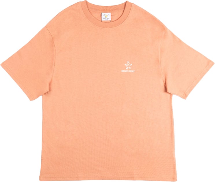Bram's Fruit Lemon Outline T-shirt - Terra Cotta
