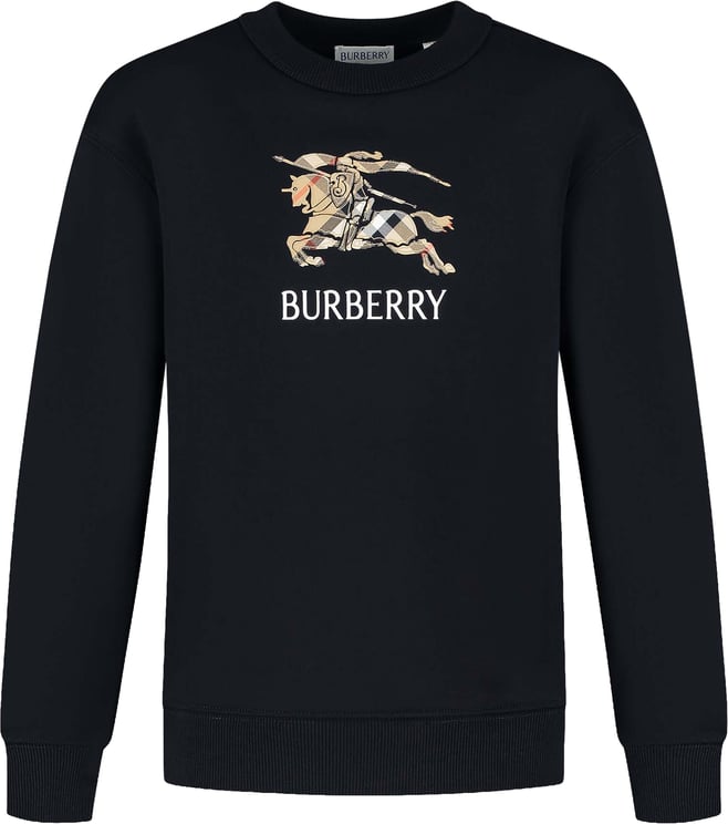Burberry Kid Boy Sweaters