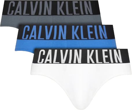 Calvin Klein Calvin Klein Underwear Blue Cotton Briefs
