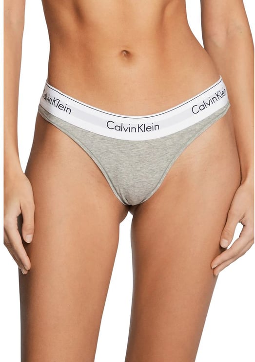 Calvin Klein Calvin Klein Underwear Gray Cotton Pantie