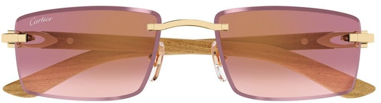 Cartier Ct0582S Décor C Allongé De Rimless Rectangular Sunglasses