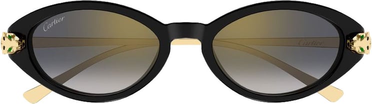 Cartier Ct0634s Oval-Shaped Black Acetate Sunglasses