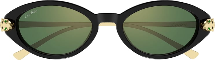 Cartier Ct0634s Oval Frame Sunglasses