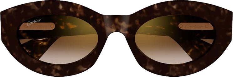 Cartier Ct0638s Bold Tortoiseshell Cat-Eye Sunglasses