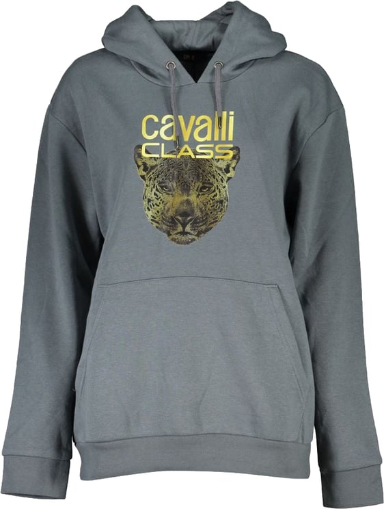 Cavalli Class Cavalli Class Grigio Polyester Women Sweatshirt
