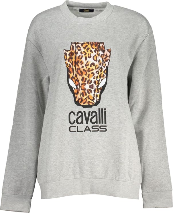 Cavalli Class Cavalli Class Grigio Polyester Women Sweatshirt