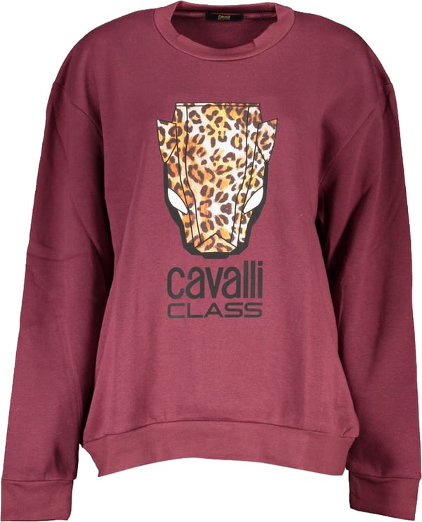 Cavalli Class Cavalli Class Grey Polyester Men's Sweatshirt