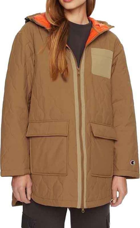 Champion Champion Brown Polyamide Sweatshirt