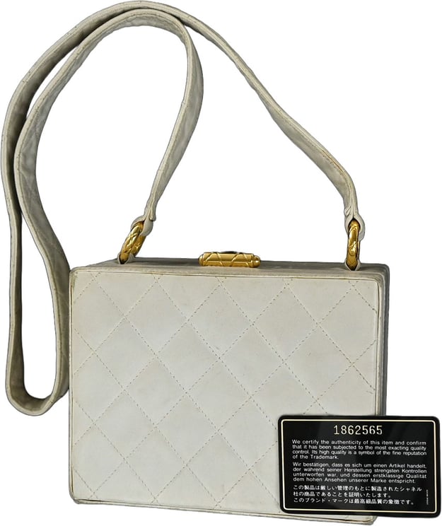 Chanel Chanel CC Logo Chain Handbag Canvas and Leather