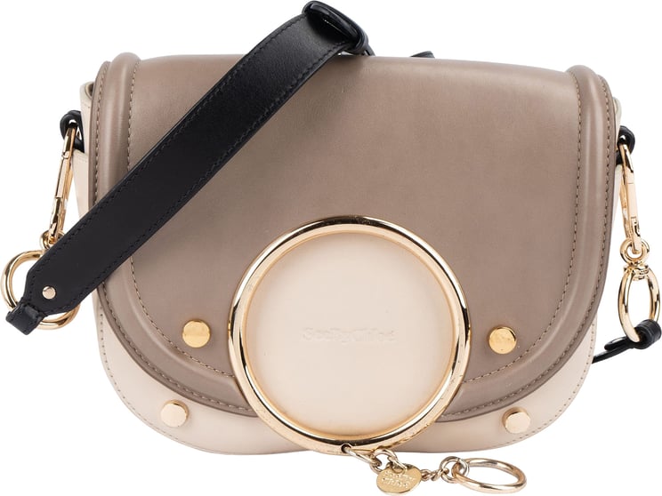 Chloé See By Chloé Tricolor Leather Mara Crossbody Bag