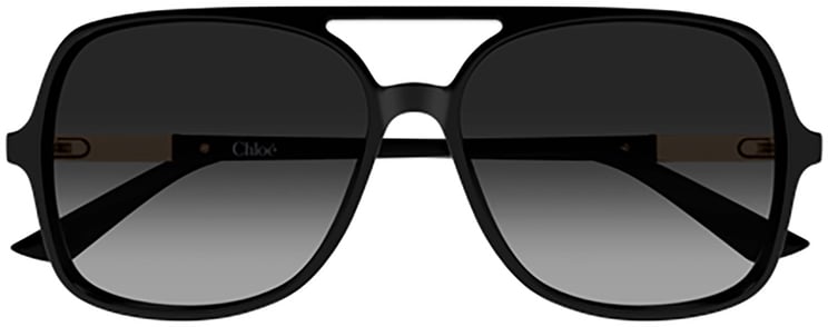 Chloé Chloe CH0364S