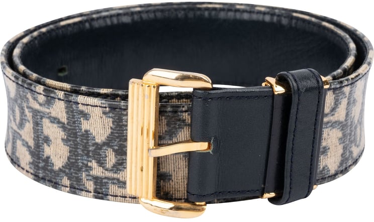 Dior Christian Dior Multicolor Leather Trotter Oblique Canvas Belt (75)