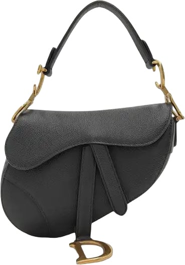 Dior Christian Dior Saddle Leather Mini