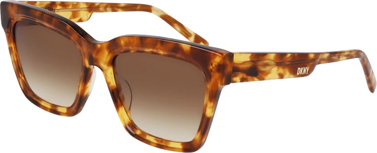 DKNY DKNY Brown Acetate Sunglasses